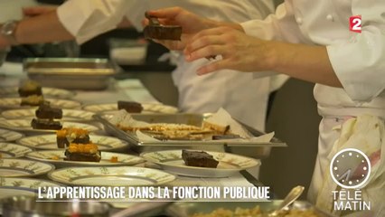 Emploi - Apprentis dans la fonction publique, pourquoi pas moi ? - 2015/08/31