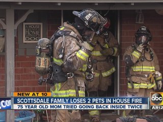 Scottsdale family loses two pets in house fire