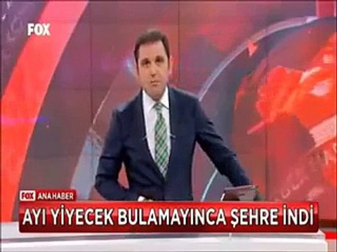 Kastamonu'da köpeğini boğan ayıyı baltayla kovalayan kadın