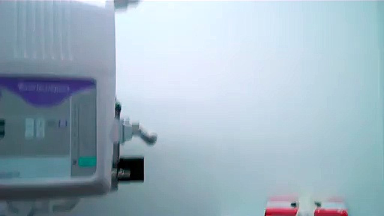 Panoramic Digital X-rays