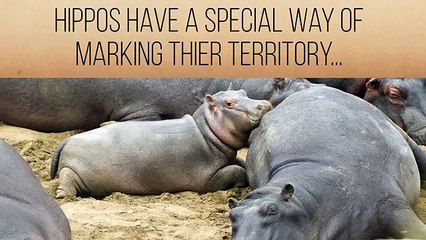 수원＾＿＾〔OIO↔2156↔4195〕수원출장안마＾＿＾성남출장안마// 24시간… 수원출장마사지