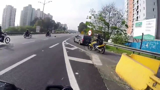 Ces motards ont fait quelque chose d'INCROYABLE afin de sauver un chien sur une autoroute !