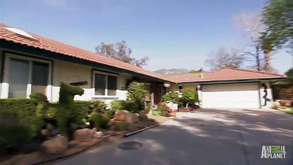 ㆁ분당출장안마ㆁㅣOIO↔2156↔4195ㅣㆁ_ㆁ화정출장안마ஐ분당출장마사지 自