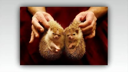 ⁿ/¹수원출장안마ΓOIO↔2156↔4195↓↔↗수원출장안마ஐ수원출장마사지ஐ 虜