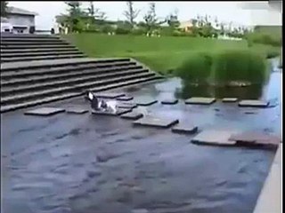 maymunun kurnazlıgına bakın köpege neler yapıyor