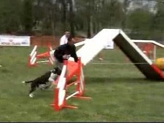 Veni far cestas 2007