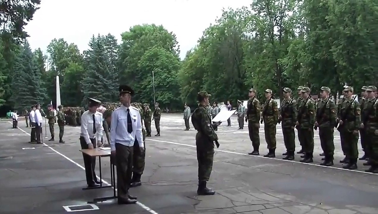 Falling Tree Interrupts Military Exercise _ Funny Compilation _ The Best