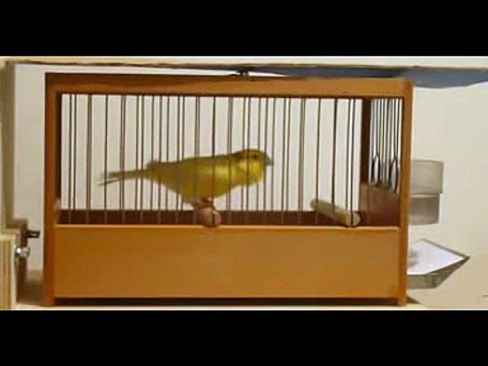 29 malinois waterslager 2010