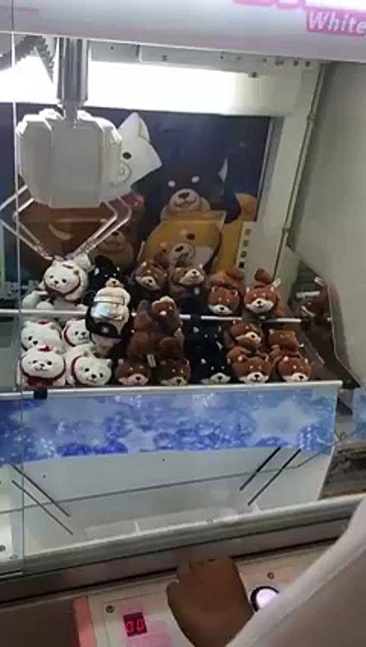 Attraper 5 peluches dans une machine à pince