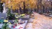 All Saints Day Poland Part 1 - A look at the Powazkowski Polish Cemetary In Warsaw