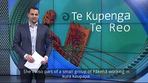 Māori speaking non-Māori relate where they fit in te ao Māori