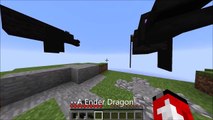 How To Make An Ender Dragon! Minecraft 1.9