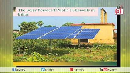 Is Hulk Star Mark Ruffalo From Bihari?