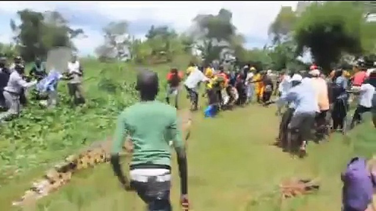 Capturado cocodrilo gigante en Uganda llamado "Godzilla" - Giant Crocodile Captured in Uganda