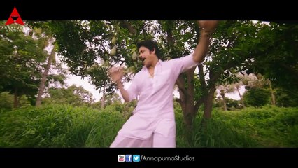 Nagarjuna Birthday Special  Soggade Chinni Nayana Teaser