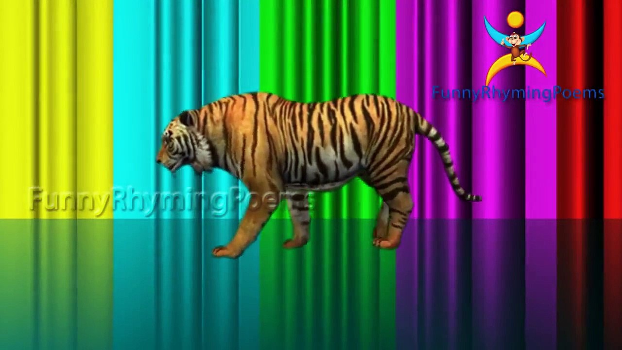 3d tiger Finger family 3d rhyme | Nursery Children Finger Family song