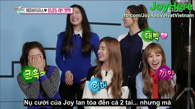[JoyHere][Vietsub] 150830 Red Velvet Section TV Cut