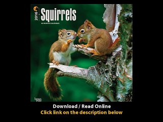 Download PDF Squirrels 2016 Square 12x12