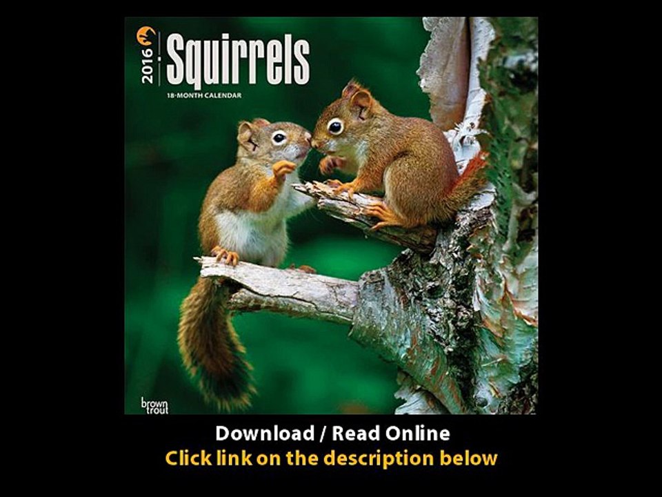 Download PDF Squirrels 2016 Square 12x12