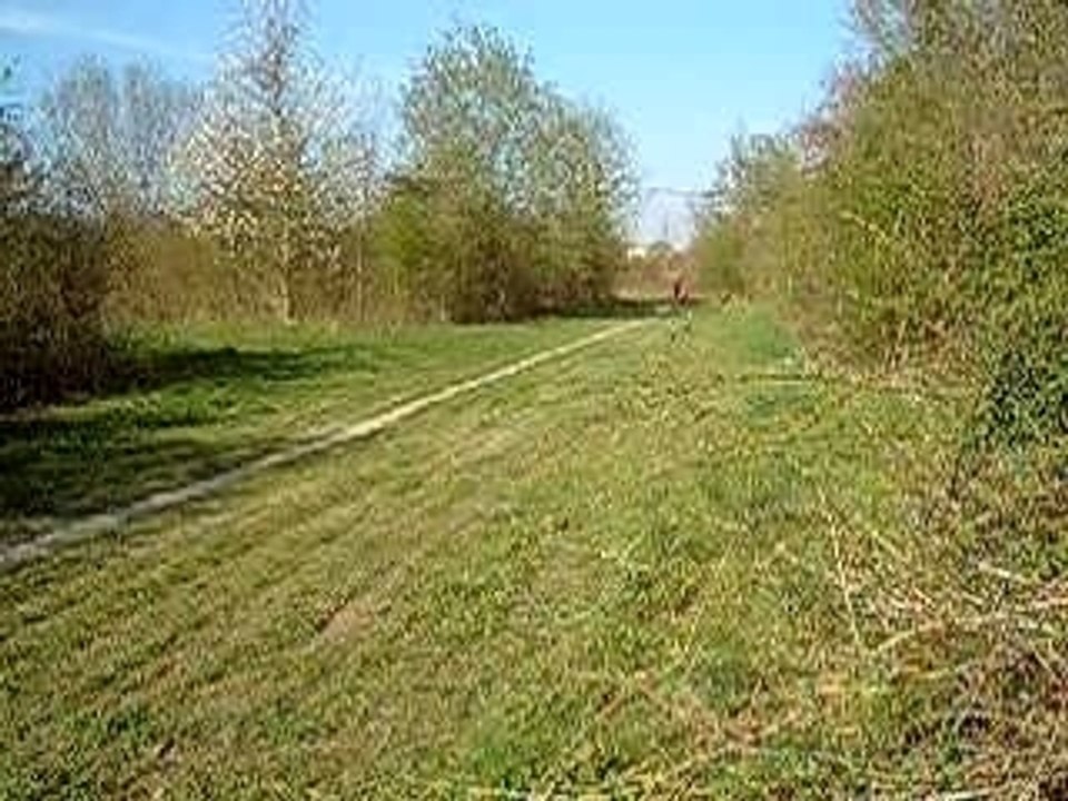 sisi cr250 125 dirt125 o terrain laposte