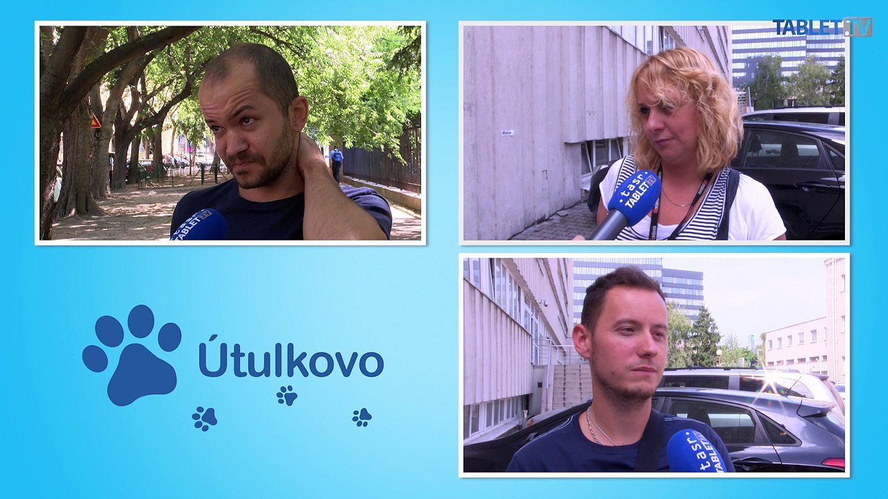 Karola vyhodili v lese, dnes už býva v Bratislave