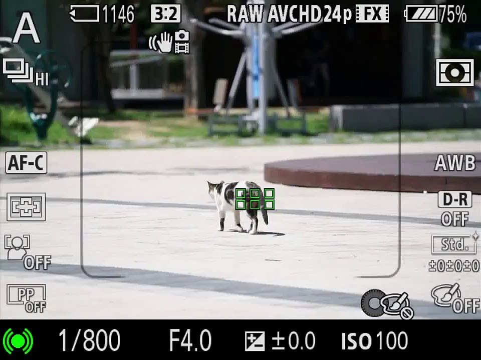 Sony-A7R-II-AF-C-TEST-with-SEL70200G
