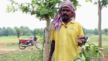 India's tribal communities spin their way out of poverty