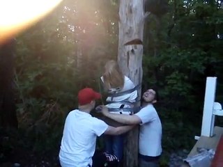 Funny joke - ducktaped to a tree
