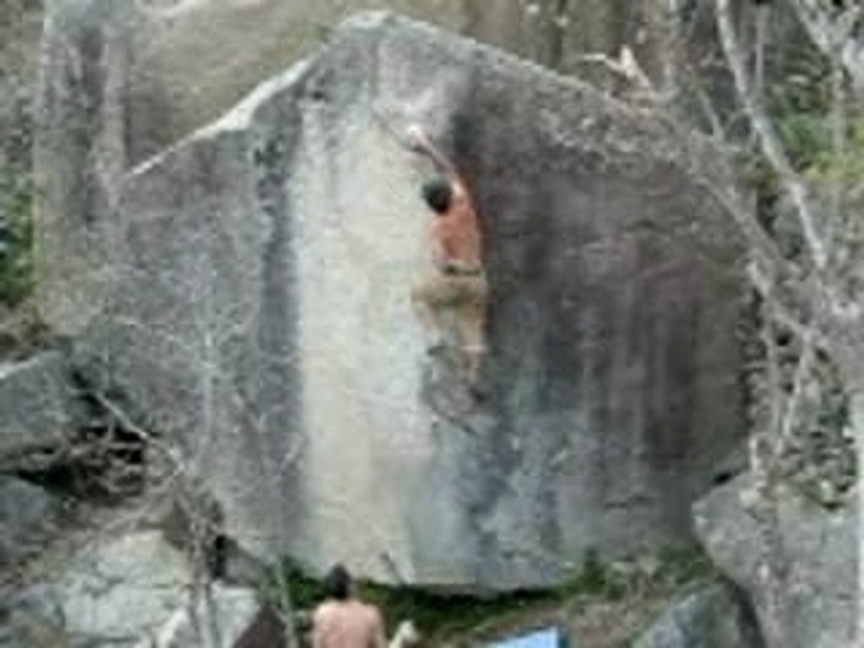 Narkoleptik