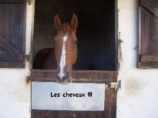 Vacances en Vendée