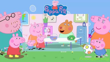 Peppa Pig The Flying Vet
