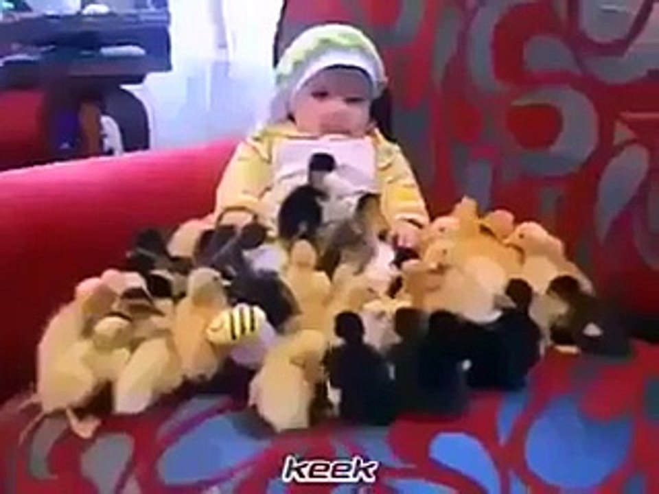 chicken attack. Funny kids