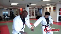 17 hapkido Moves in 90 Seconds | Toronto Martial Arts School