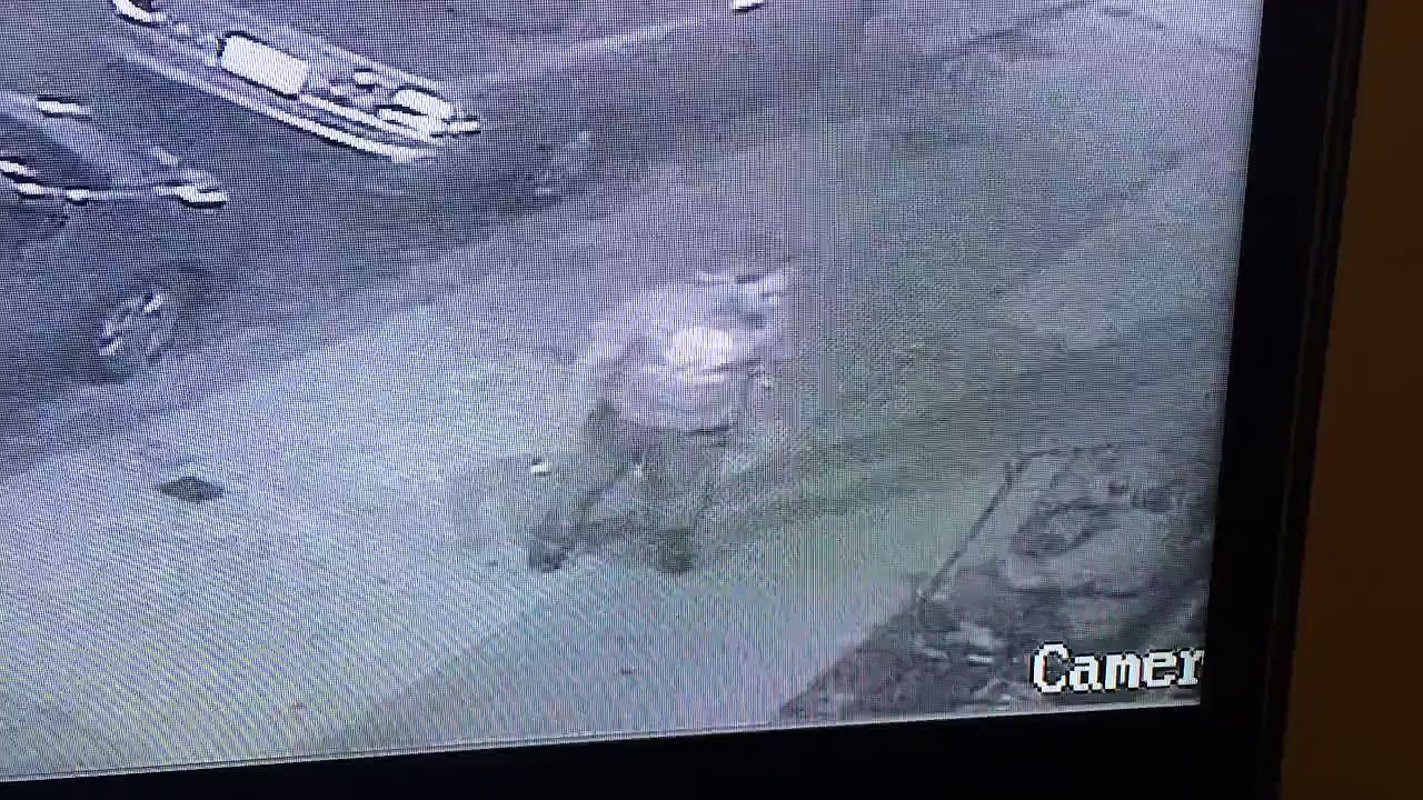 Ivres, ils se font un câlin après une bagarre