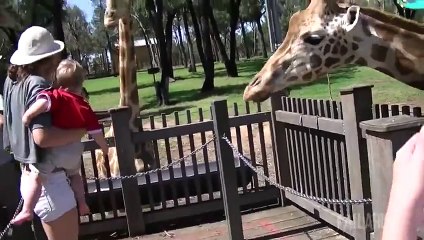 Best Fails of the Week 2 March 2015  FailArmy