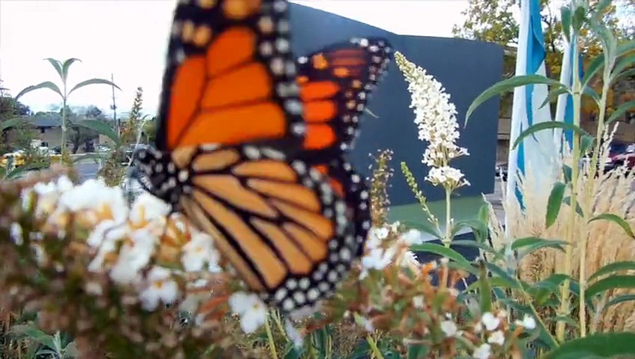 ELO, Part 2: 'Electric Light Orchestra Part Two'