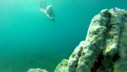 Nager dans le bonheur- 1