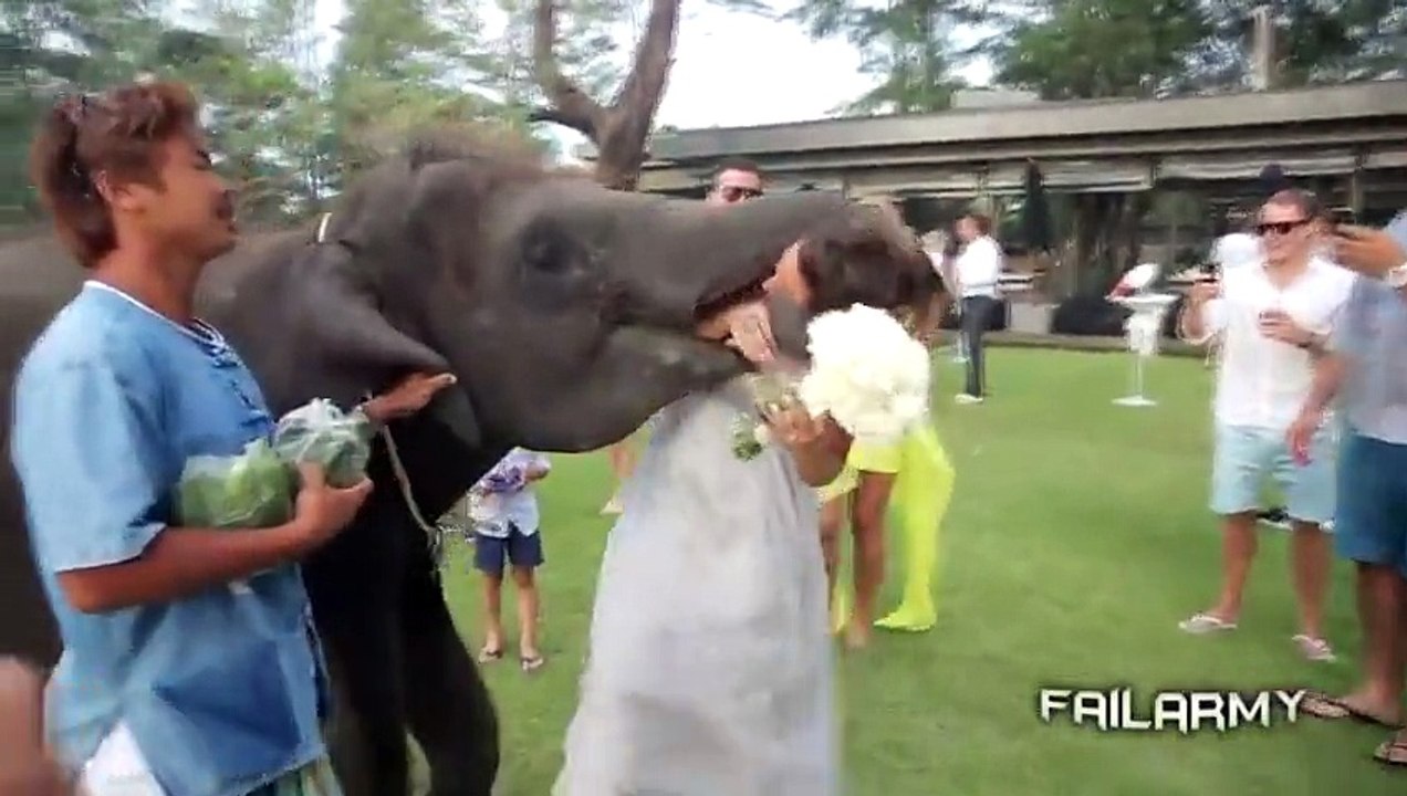 Best Fails of the Week 3 October 2013  FailArmy