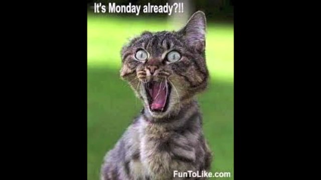 Weekend reviews and complaints with z57