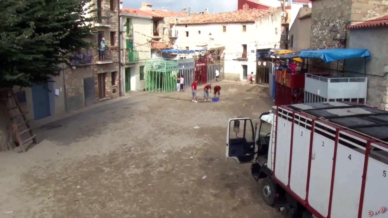2014 BENAFIGOS HD SAM