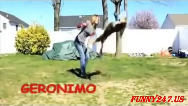 Dog Jumping Rope and more Tricks Compilation