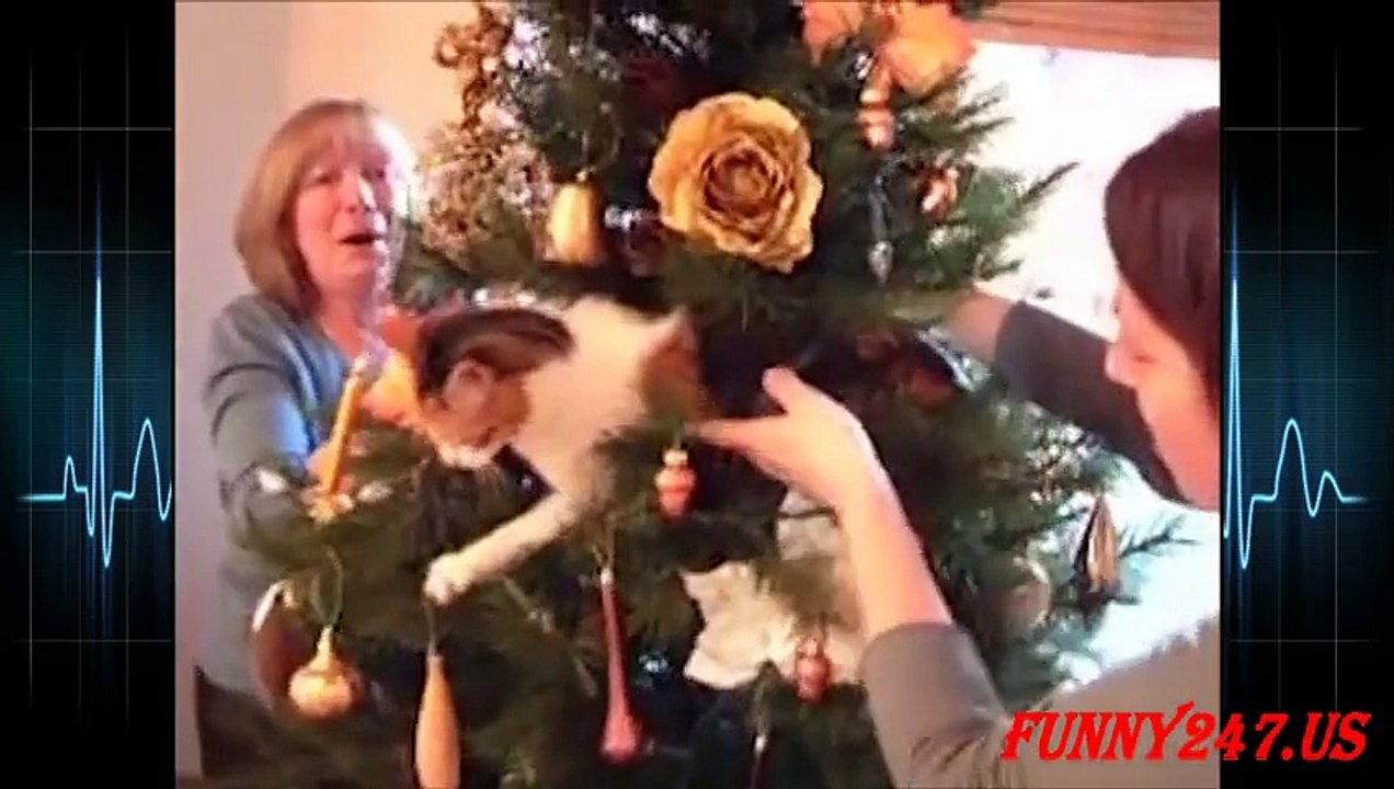 Epic Cat vs Christmas Tree