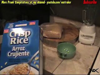 5 Evil Pranks You Can Get Away With!!!