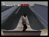 TH Pro Skater 3 N64 Guide - Canada: Blow Up the Tree