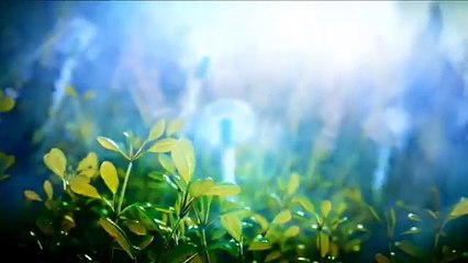 Dheevara (Bahubali) Song Lyrics | Telugu | Prabhas | Tammanah | Anushka