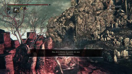 Bloodborne Pvp vs BlackHunter