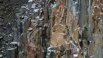 Perfect Jump of Little Bird..What happened next will sweat your toes