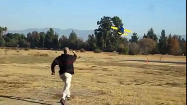 Squirrel hijacked the Plane !!! Animal can Fly planes wow