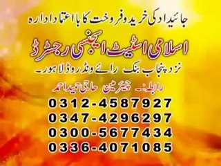 Bhindi Bazar New 2015 Pakistani Punjabi Stage Drama Full Stage Play