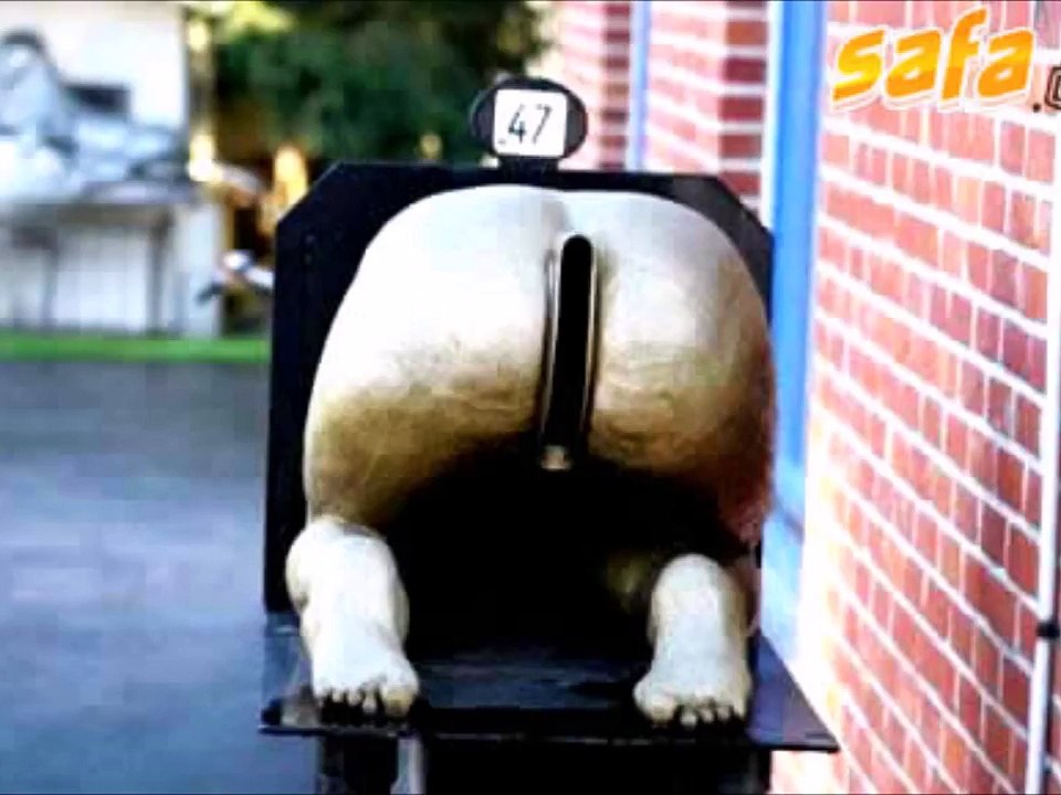 funny pics by alfie greener